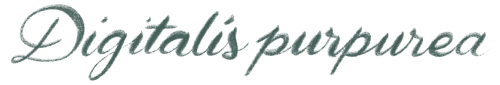 Blume: Name